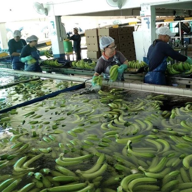 Agricompas and Farming Data announced as winners of the Agri-TechE Catalyst Challenge Fund