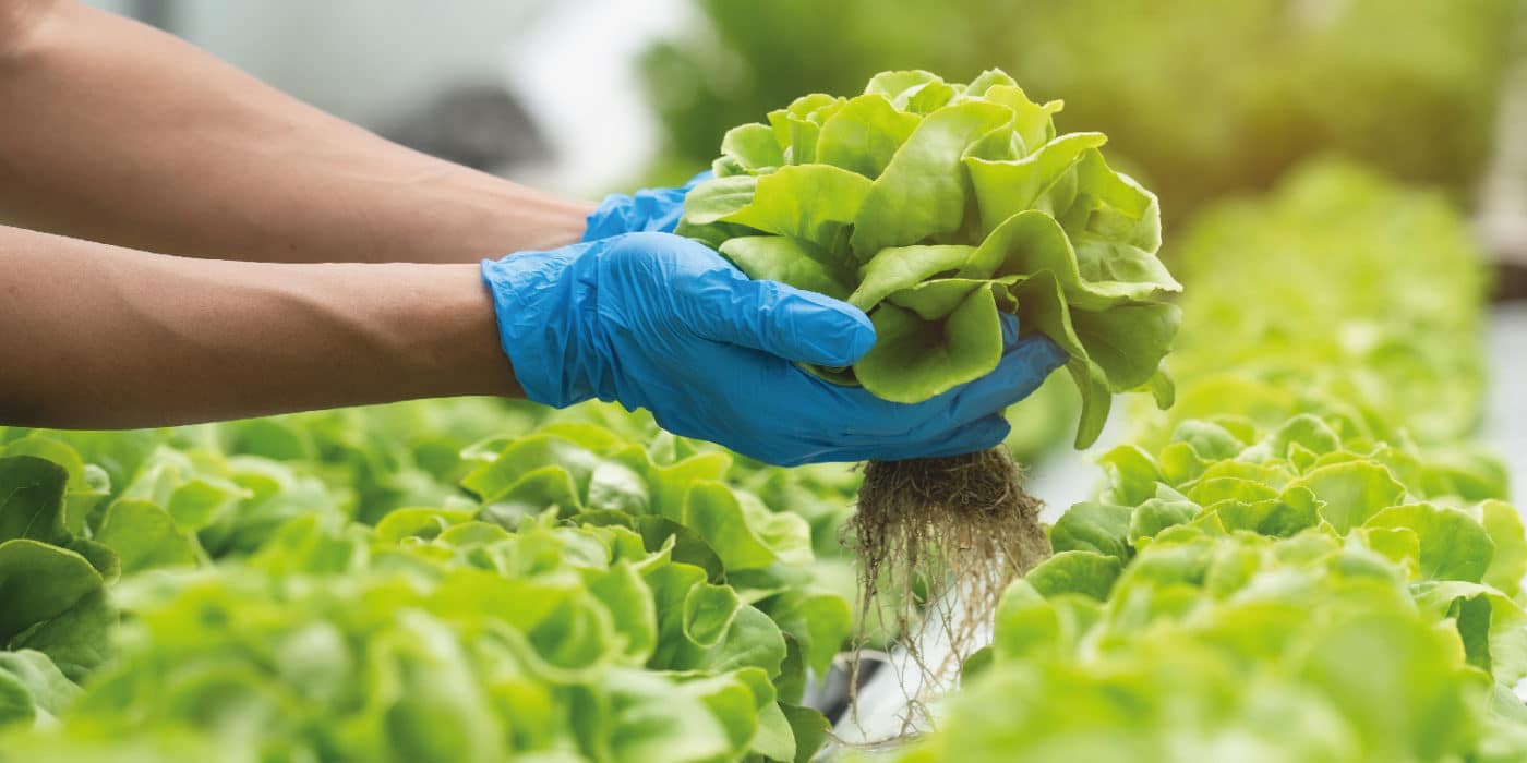 Silal to discuss desert-tech for farming in extreme environments