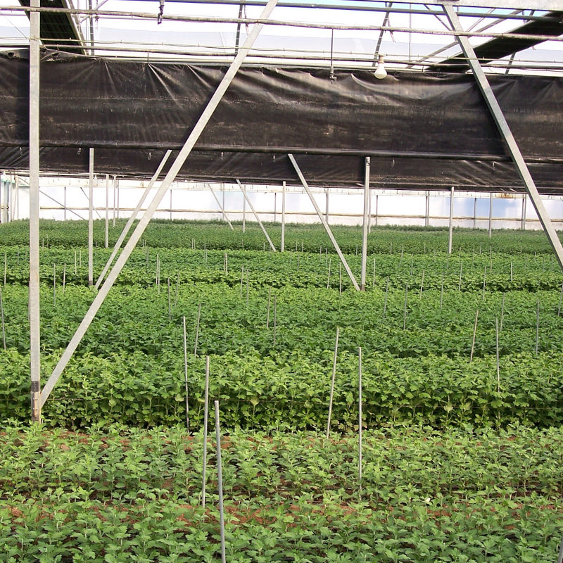 Andalucía Agri-TechE Mission opens for applications
