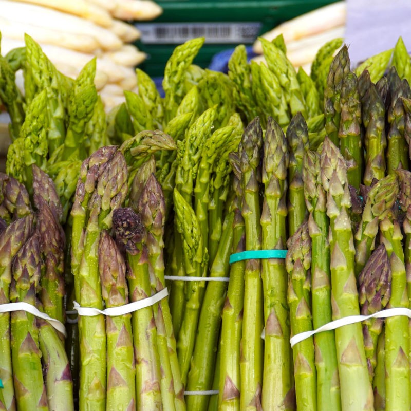 Hope for 2023 asparagus harvest as Muddy Machines gains funding