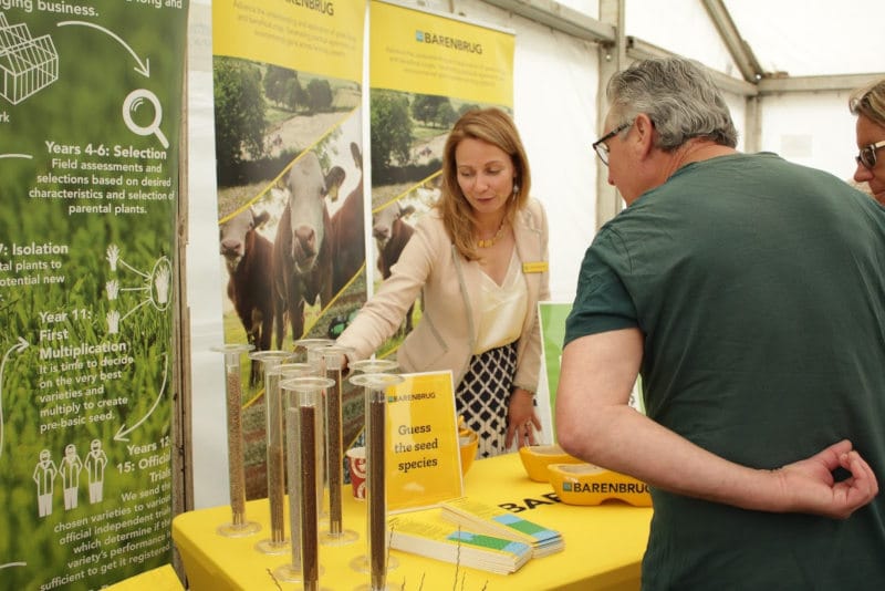 Barenbrug guess the seed species