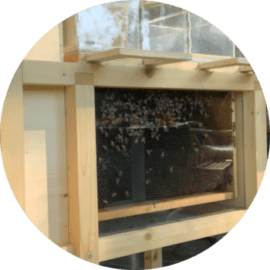 REAP 2020 Start-Up Showcase: BeeSecure