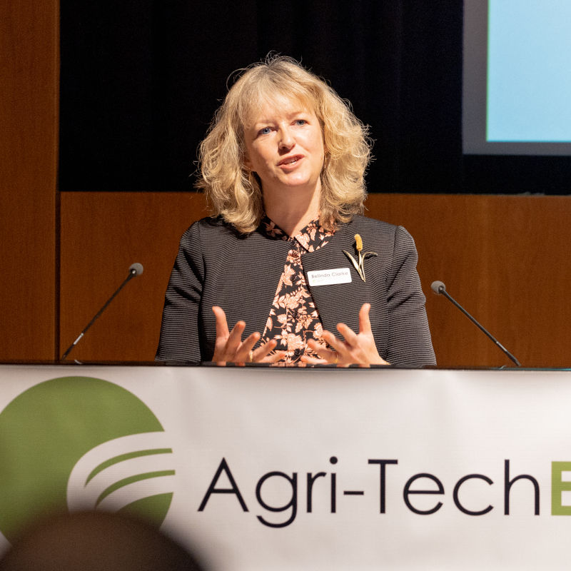 Belinda-Clarke-speaking-at-REAP-2022-feat