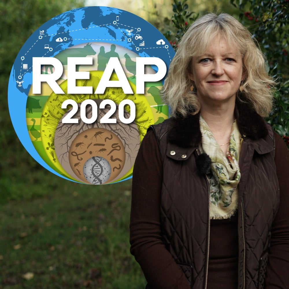 Understanding the agri-tech ecosystem – from very very small to very very big