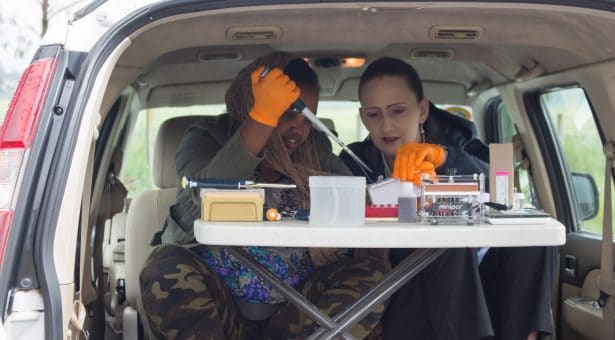 Benefit of on-farm diagnostic for wheat rust fungi demonstrated in Ethiopia