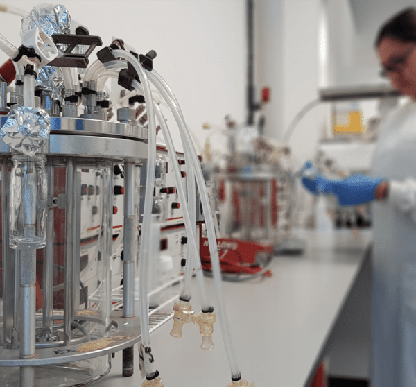 Biocleave teams up with Rothamsted Research to synthesise promising biopesticides