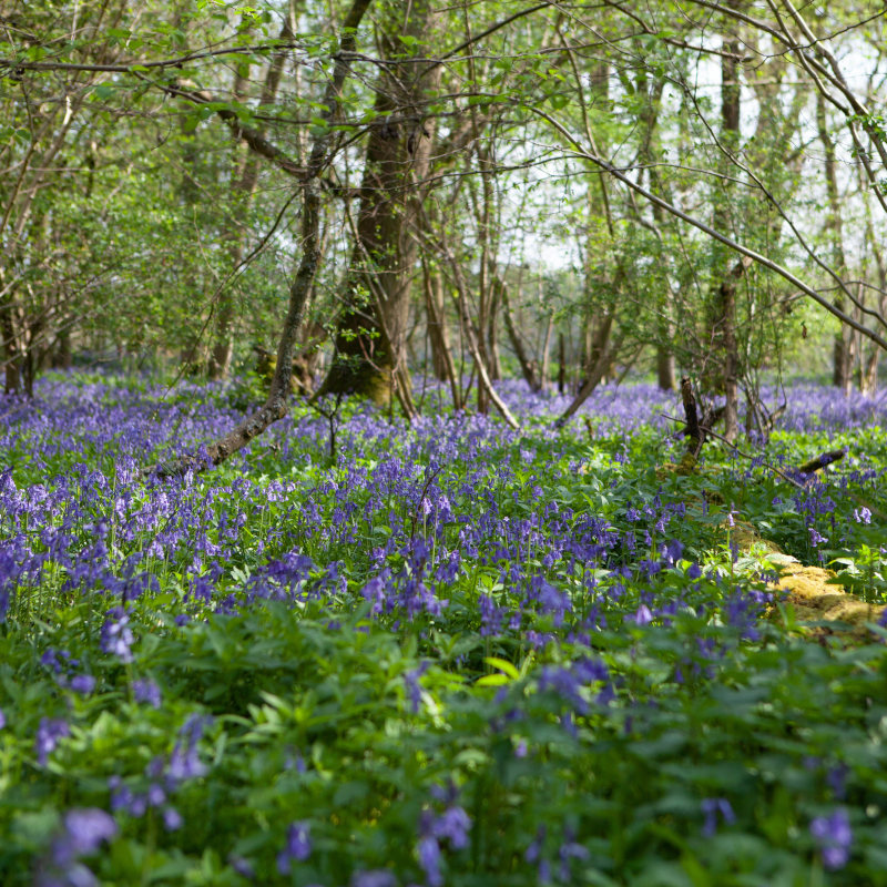 Nature for finance – balancing food security with environment