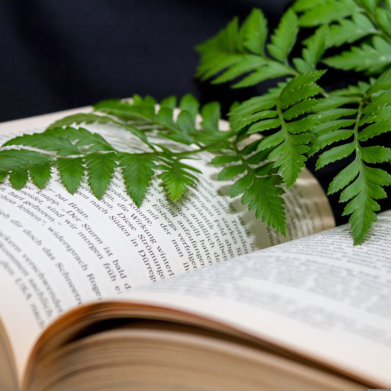 Oxford Farming Conference 2023: a new tale for farming folk