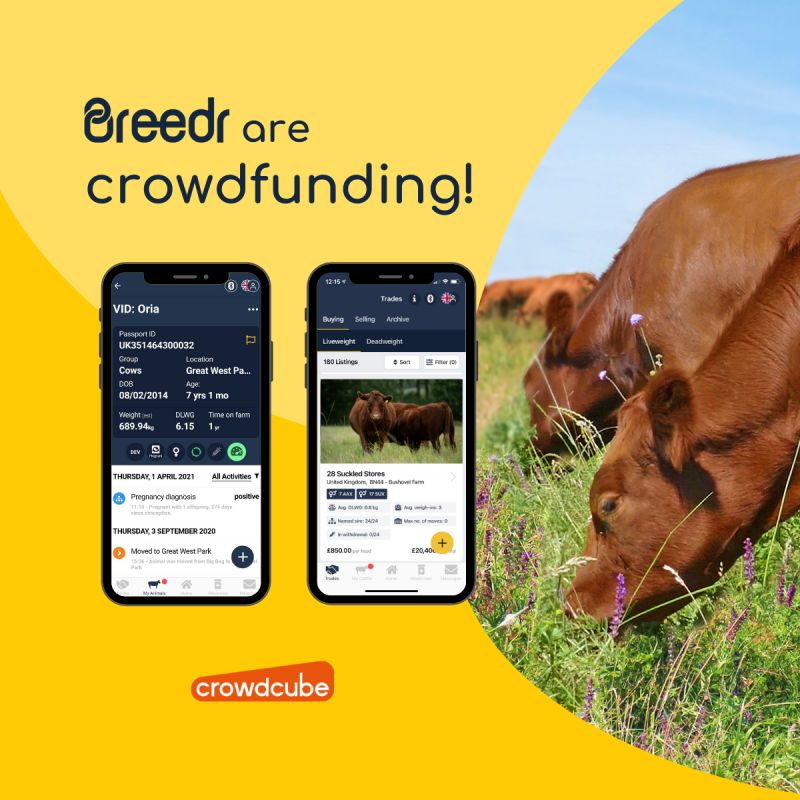 Breedr announces new crowdfunding campaign