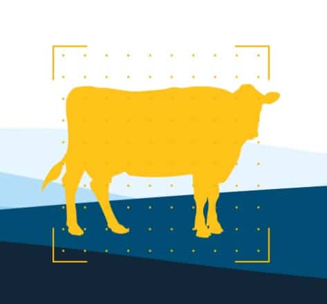 Breedr shows how livestock farmers can generate real value from EID tags