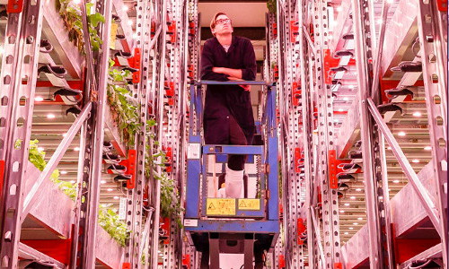 Will Controlled Environment Agriculture disrupt the value-chain?