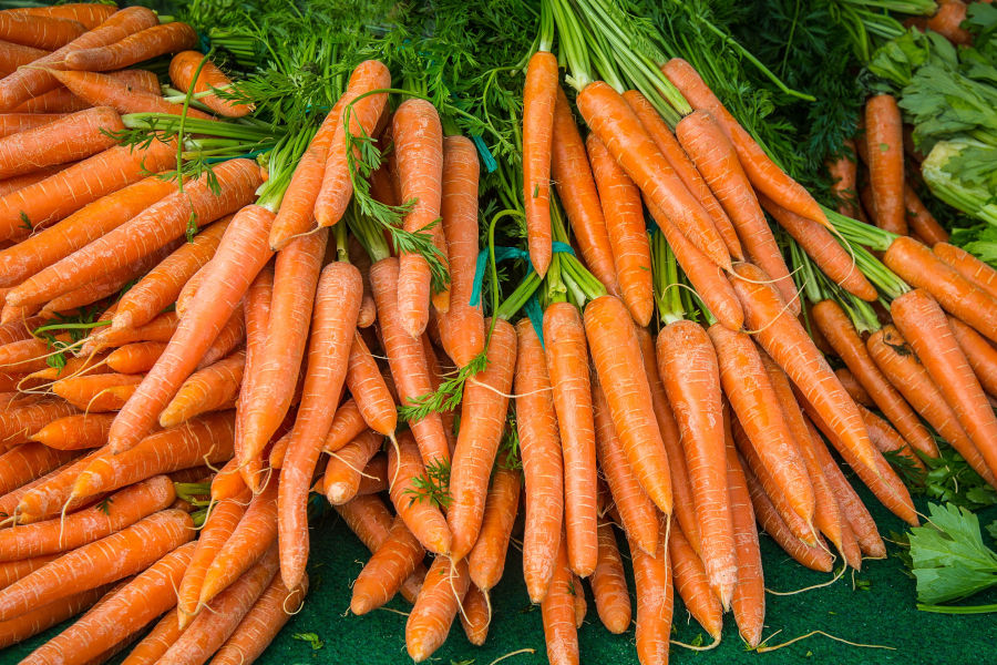 CARROTS