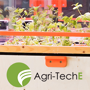 Controlled Environment Agriculture – The Industry is Growing Up