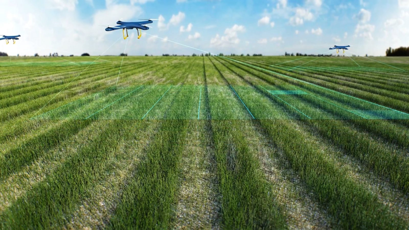 Making sense of carbon sequestration – Cambridge Consultants at REAP 2022