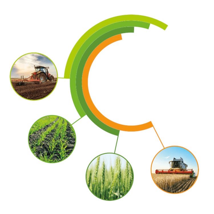 Cereals LIVE 2020 Agri-TechE members support virtual event