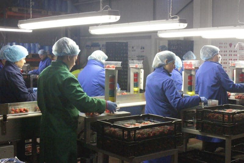 Burden of traceability eased with Consus