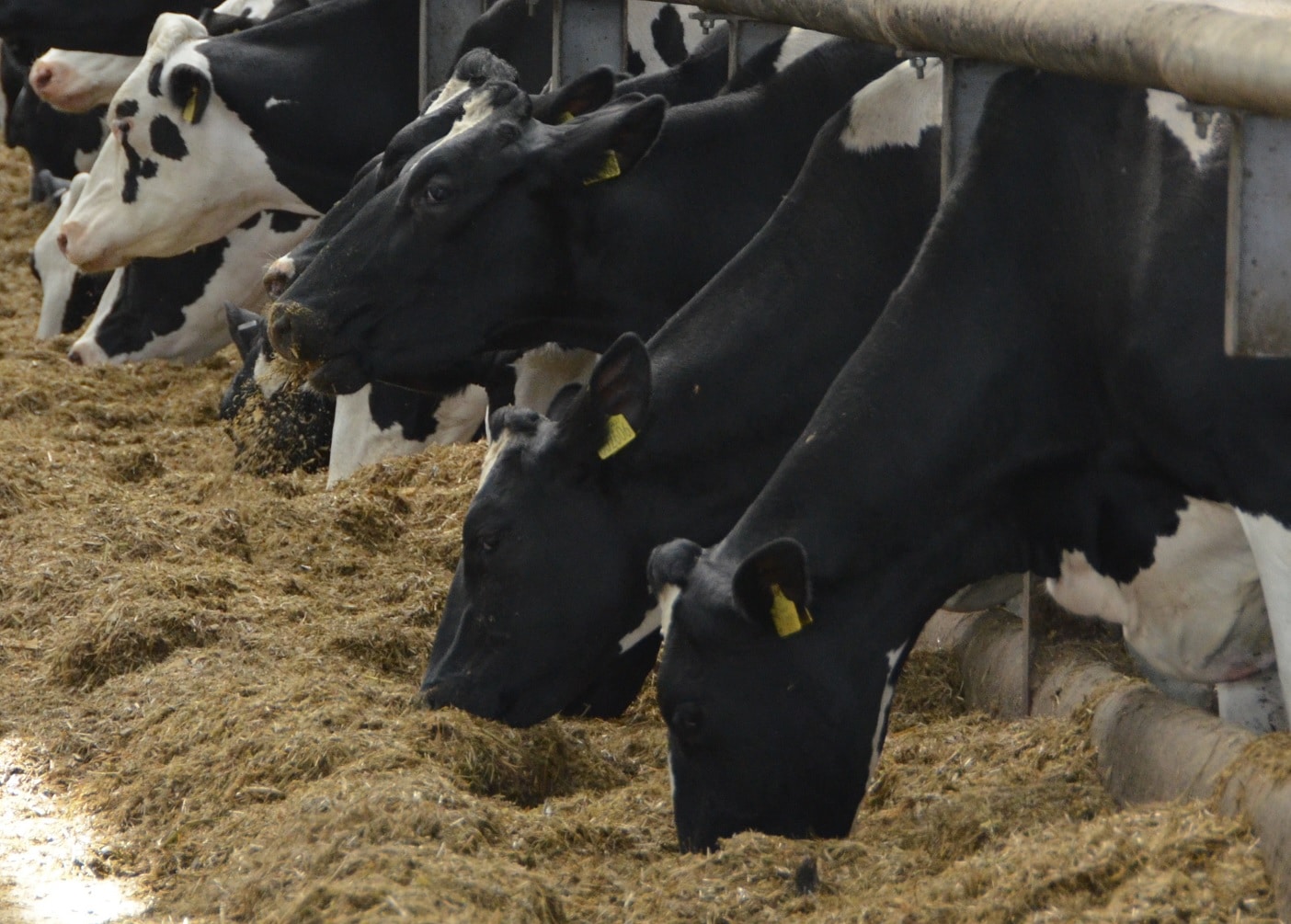 Sensors to provide early warning of disease