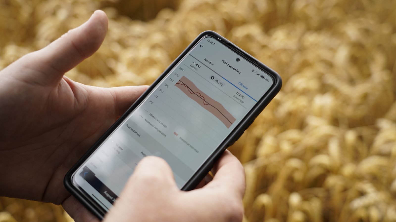 Smart farming technology to tackle black-grass problem