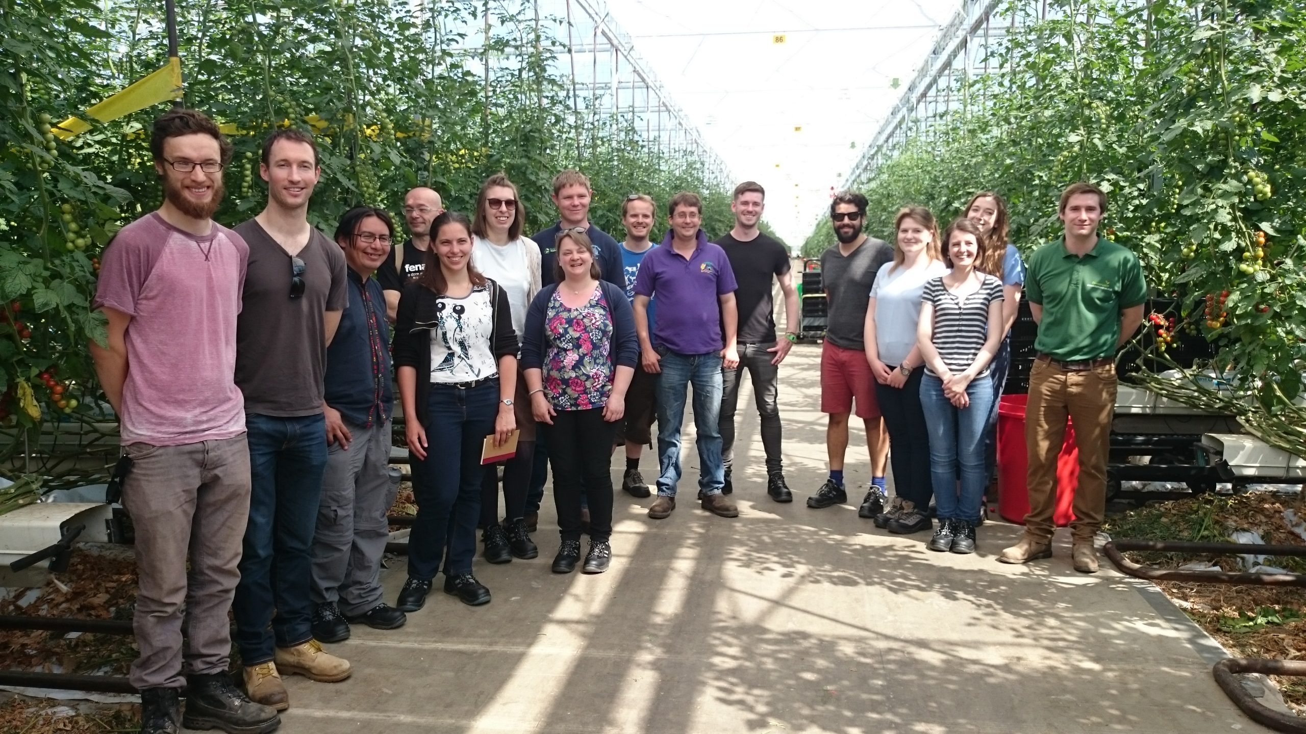 Innovation in tomato farming: a field trip to Cornerways
