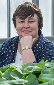 New speedy broccoli from seed to harvest in 8 weeks