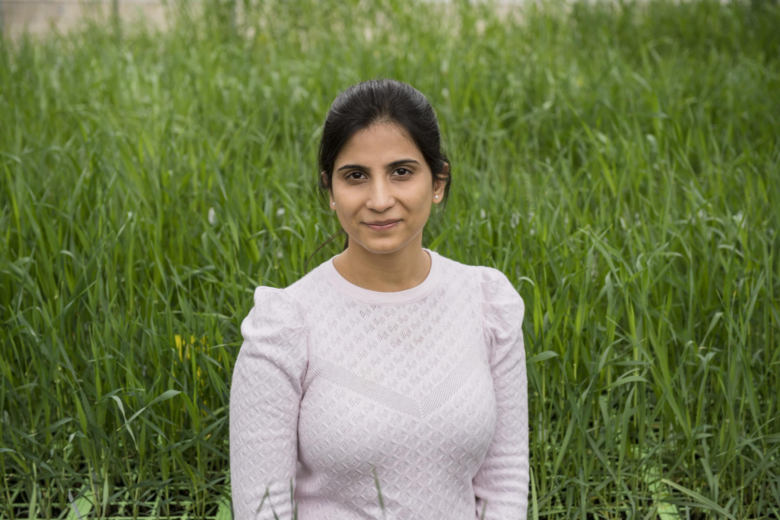 International wheat award for speed cloning researcher