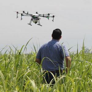 Standards and regulation in agri-tech