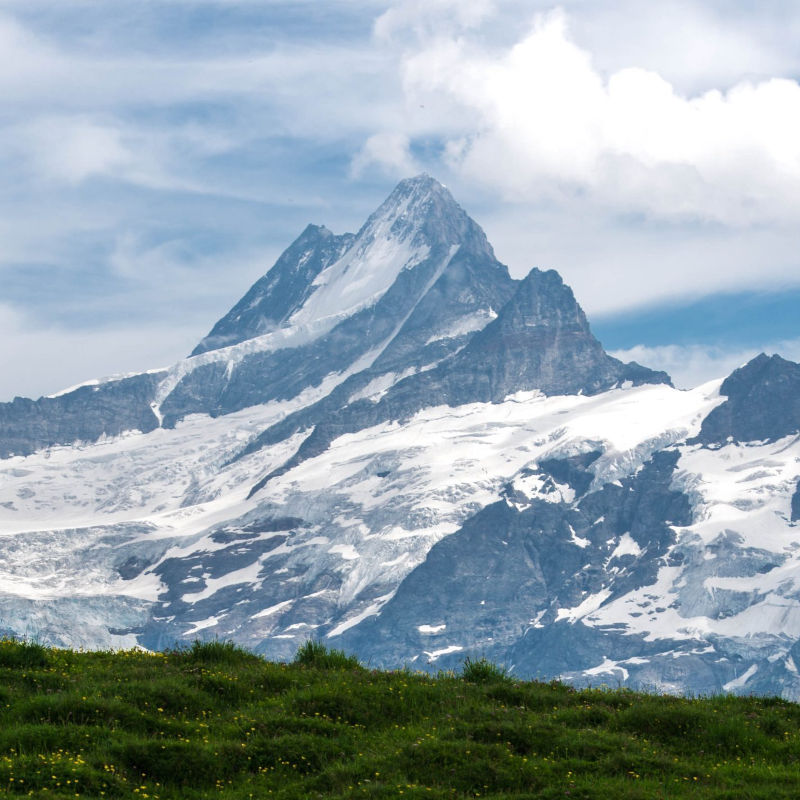 Farm to Fork and to the Future