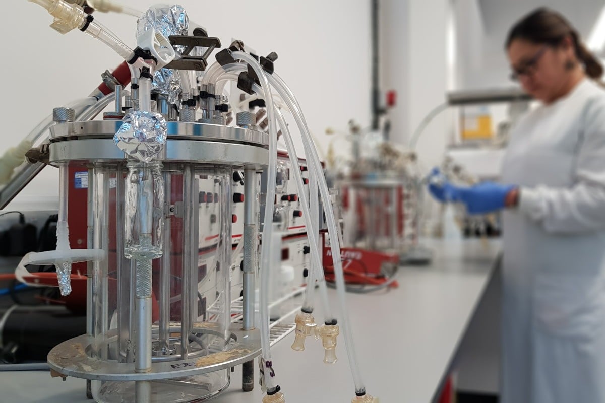Overcoming the Challenges of Clostridial Engineering with CLEAVE ...