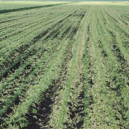 Agri-Gate Research Hub