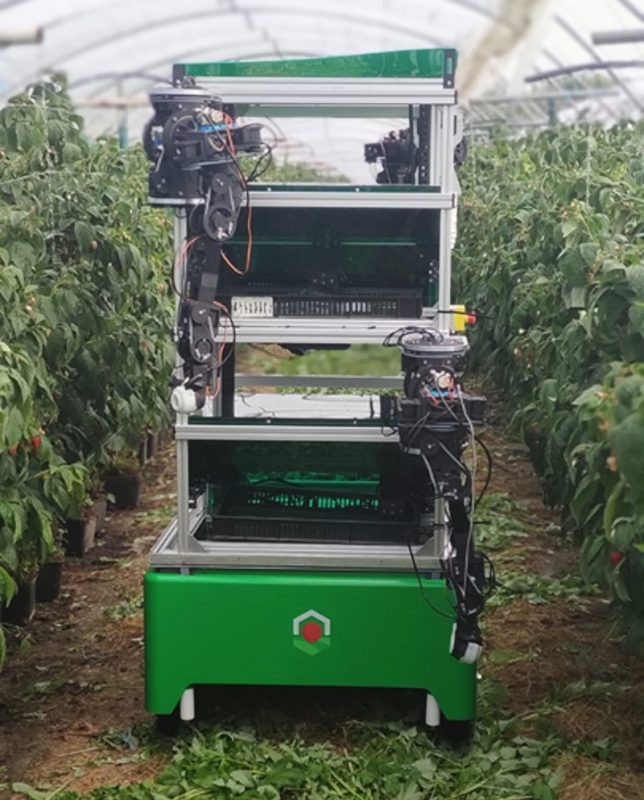Fieldwork Robotics to deliver automated harvester for raspberries
