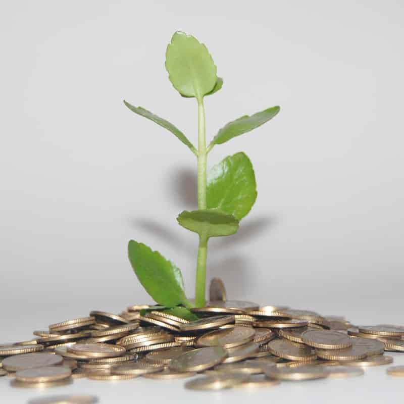 Financial support for agritech: show me the money!