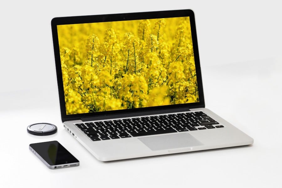 European Food Tech Trends, report gives cautious optimism