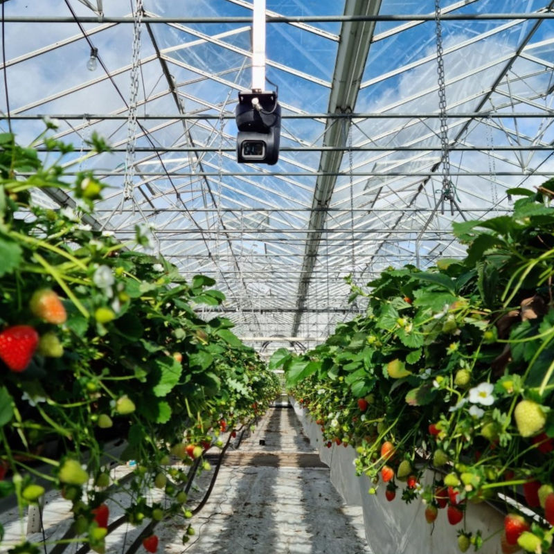 Gardin-sensor-in-Boxford-Farms-web