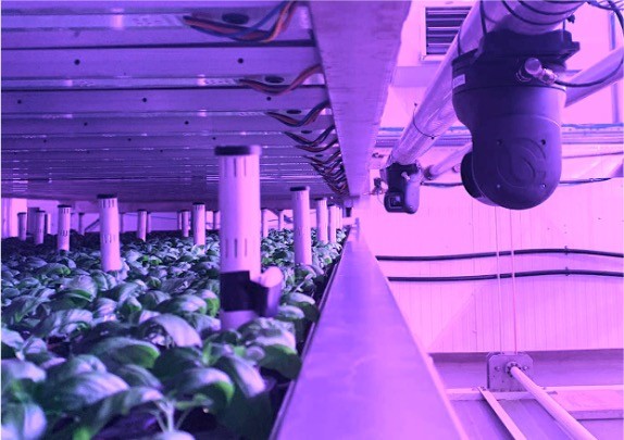 Gardin sensors provide deep understanding of plant stress