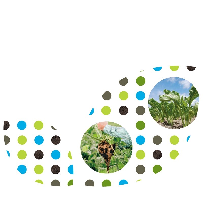 Trials of Germains Seed Treatments new Xbeet enrich 200 show yield benefit