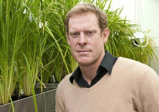 Giles Oldroyd to be new professor of Crop Science at 3CS
