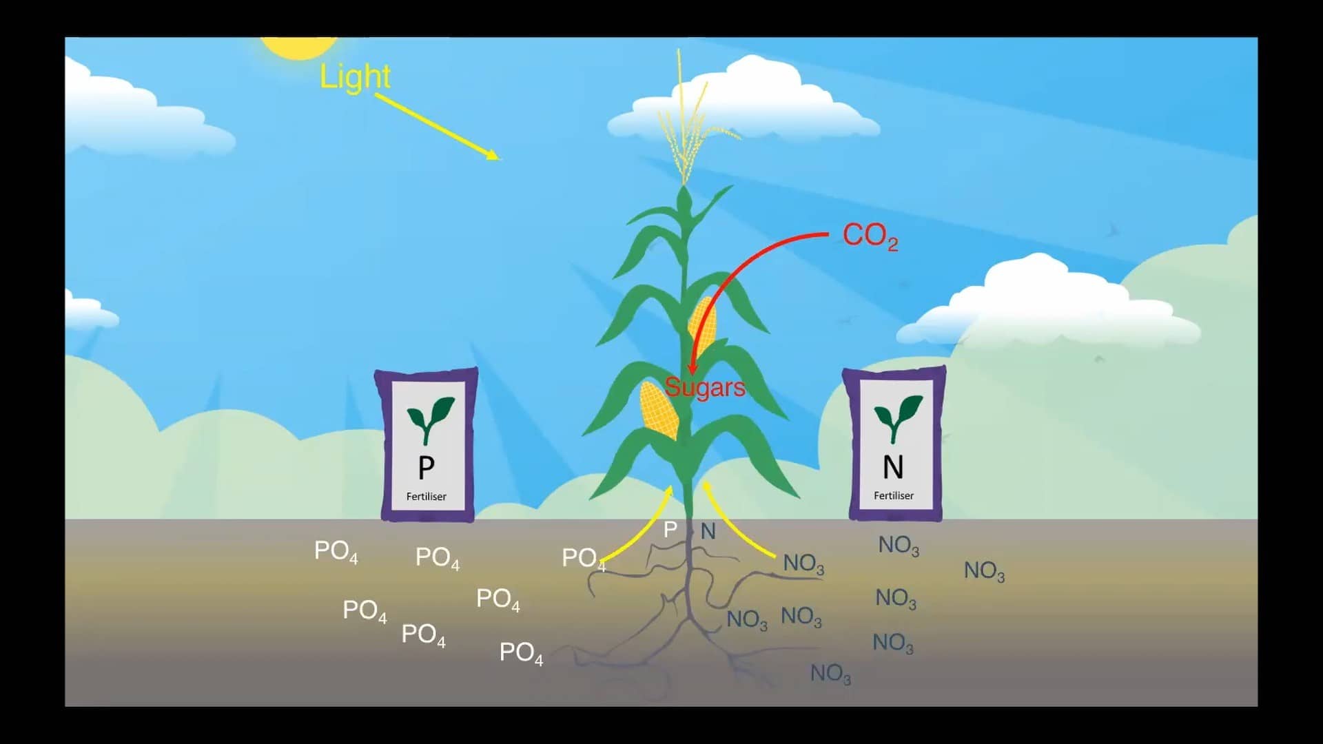 Sustainable solutions for global food security – Giles Oldroyd