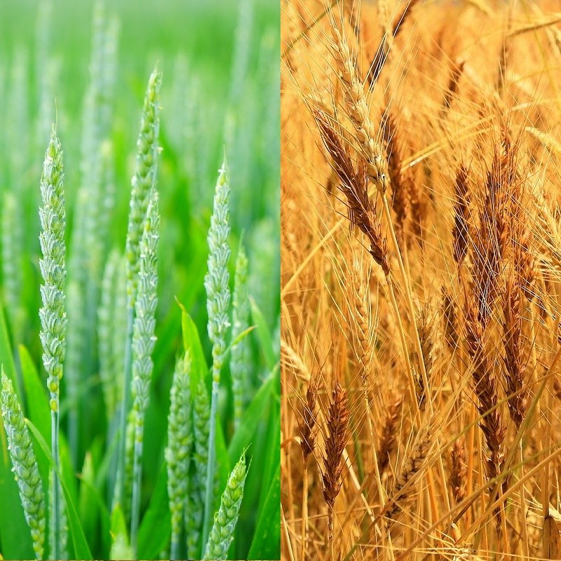 Time for a chat at Groundswell 2021