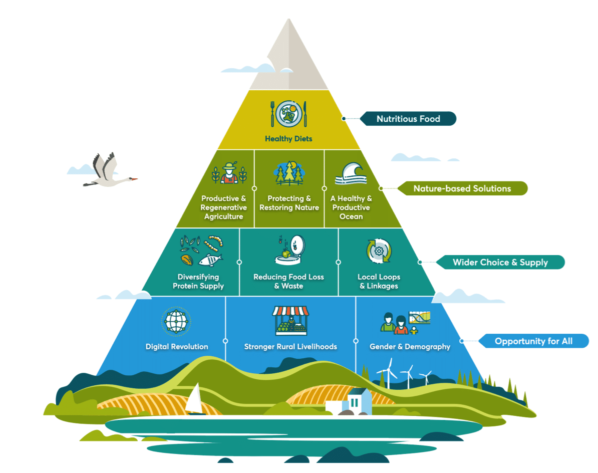 Growing Better – transforming food and land use