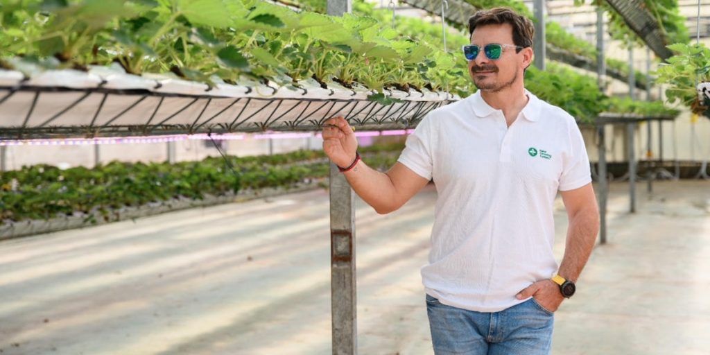 Guillermo Baquero, New Growing System