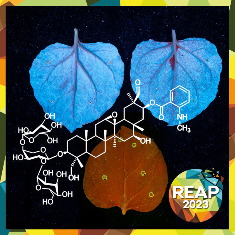 HotHouse-REAP-2023-Start-Up-feat