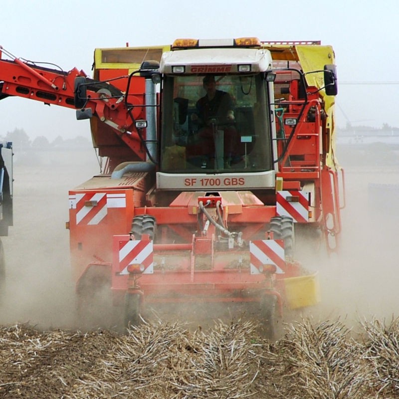 Hutchinsons-how-to-manage-potato-crops-in-warm-dry-conditions
