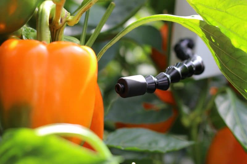 Work better together with agri-data feeds in ZENSIE