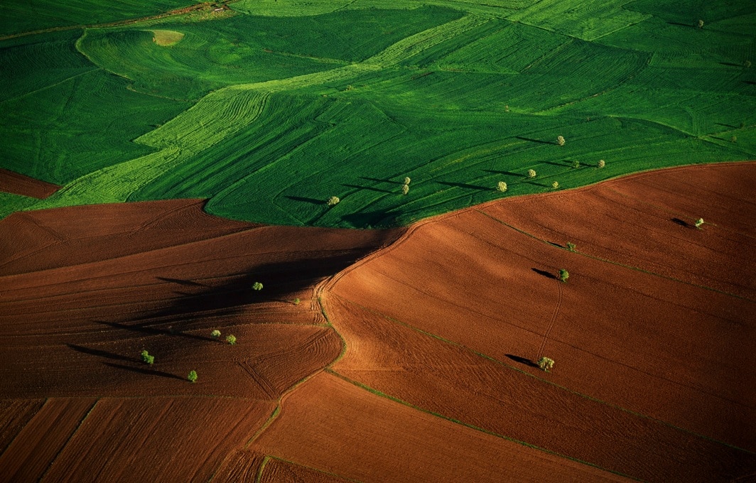 Are cow burps responsible for climate change?