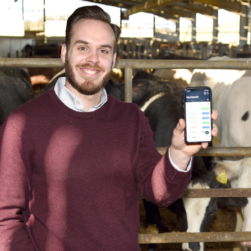 Breedr launches free app to improve productivity in livestock supply chain