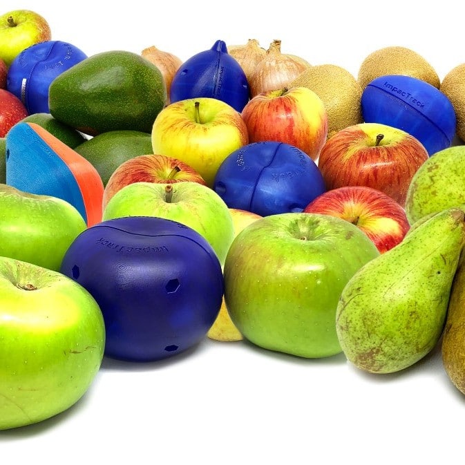 ImpacTrack goes undercover to reveal causes of fruit damage