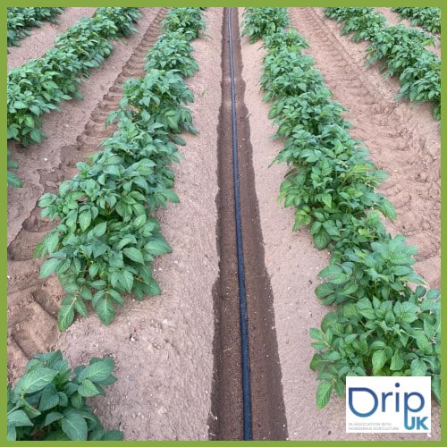 Howseman Agriculture’s ‘irrigation as a service’ reduces water and waste