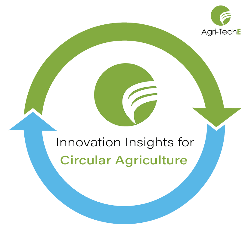 Innovation for a circular economy