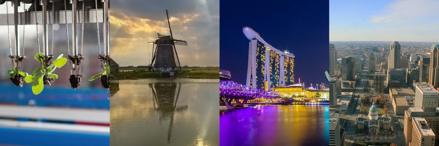 REAP International Café – prepare to do business