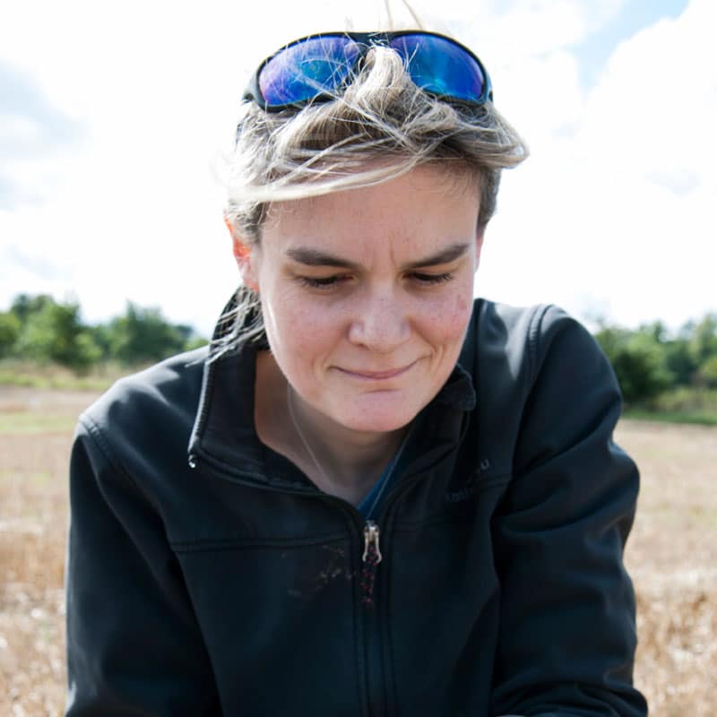 Using earthworms as indicators of soil health